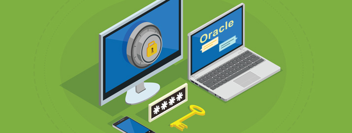 Oracle数据库安全防范技术应用交流